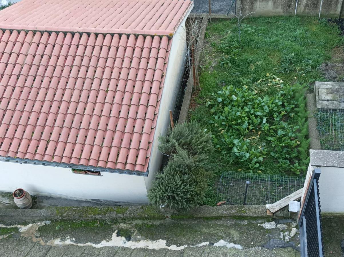 Affittacamere Piagge Orvieto Exterior foto
